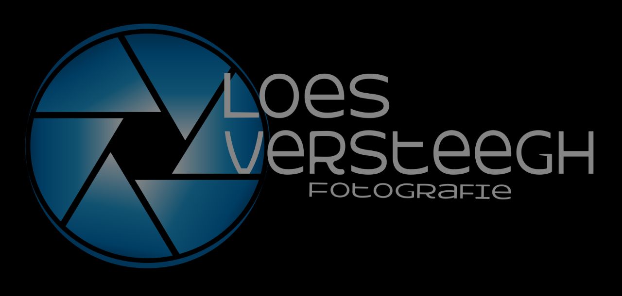Logo van Loes Versteegh Fotografie