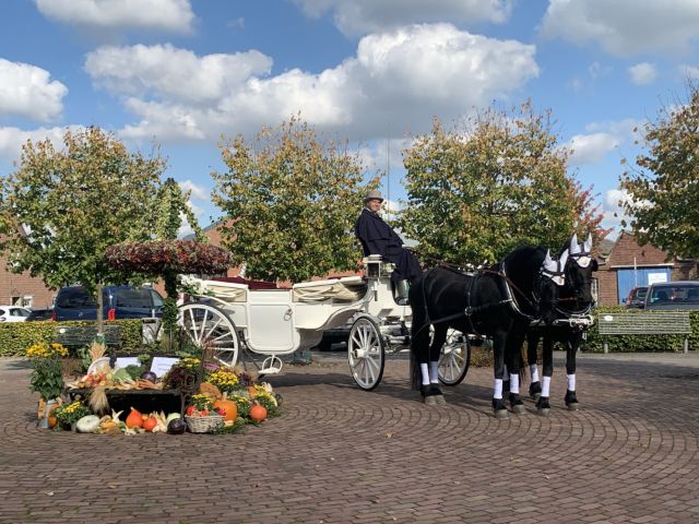De Jong Stables foto 1