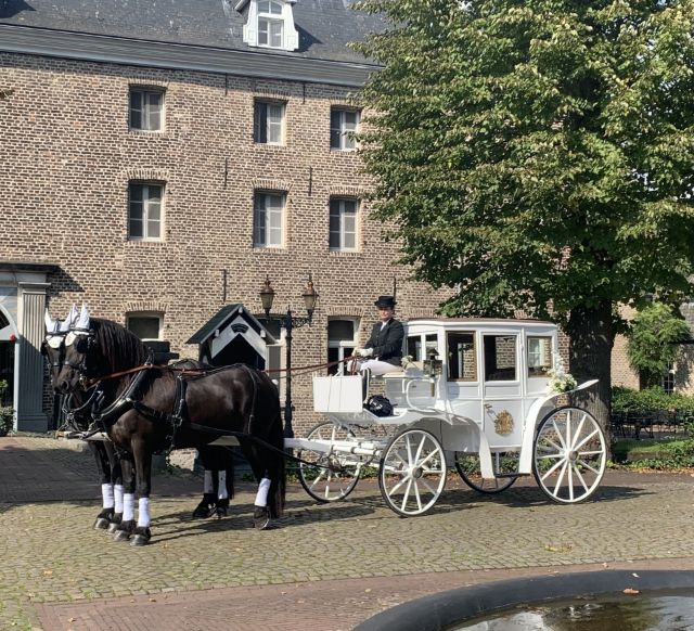 De Jong Stables foto 3