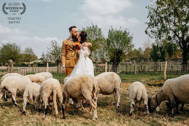 Dimitri Meyns fotografie foto 9