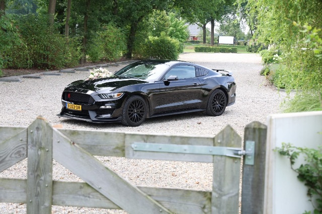 MijnMustangTrouwauto.nl foto 2
