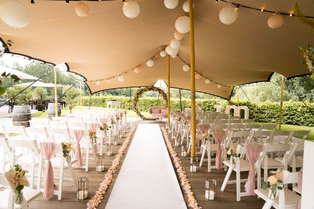 Tentforce foto 4