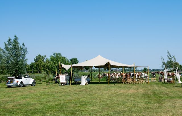 Tentforce foto 6