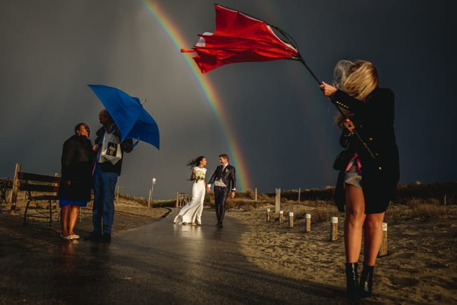 The Wedding Story