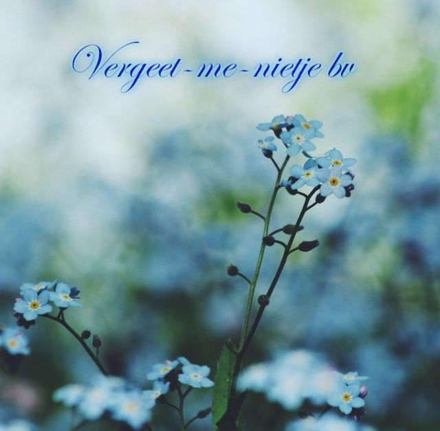 Vergeet-me-nietje bv