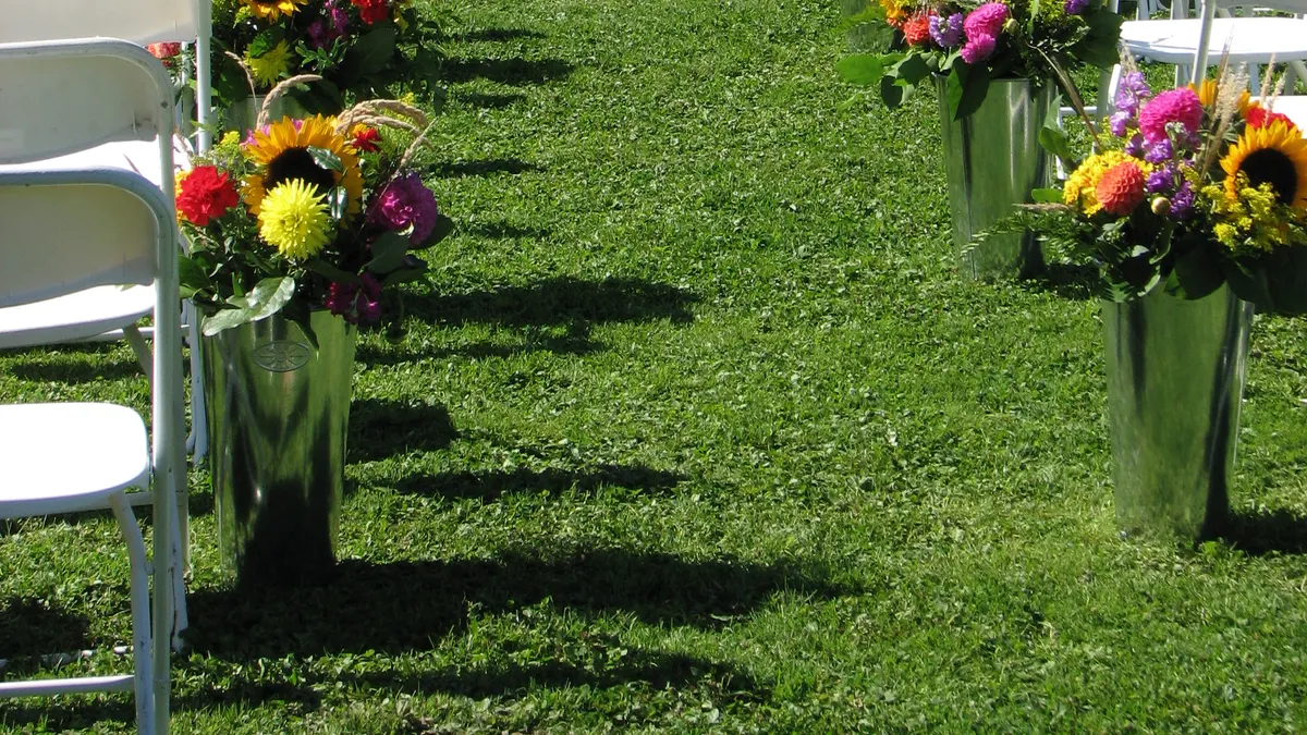 Gangpad op het gras met witte stoelen en emmers vol zonnebloemen en zomerbloemen