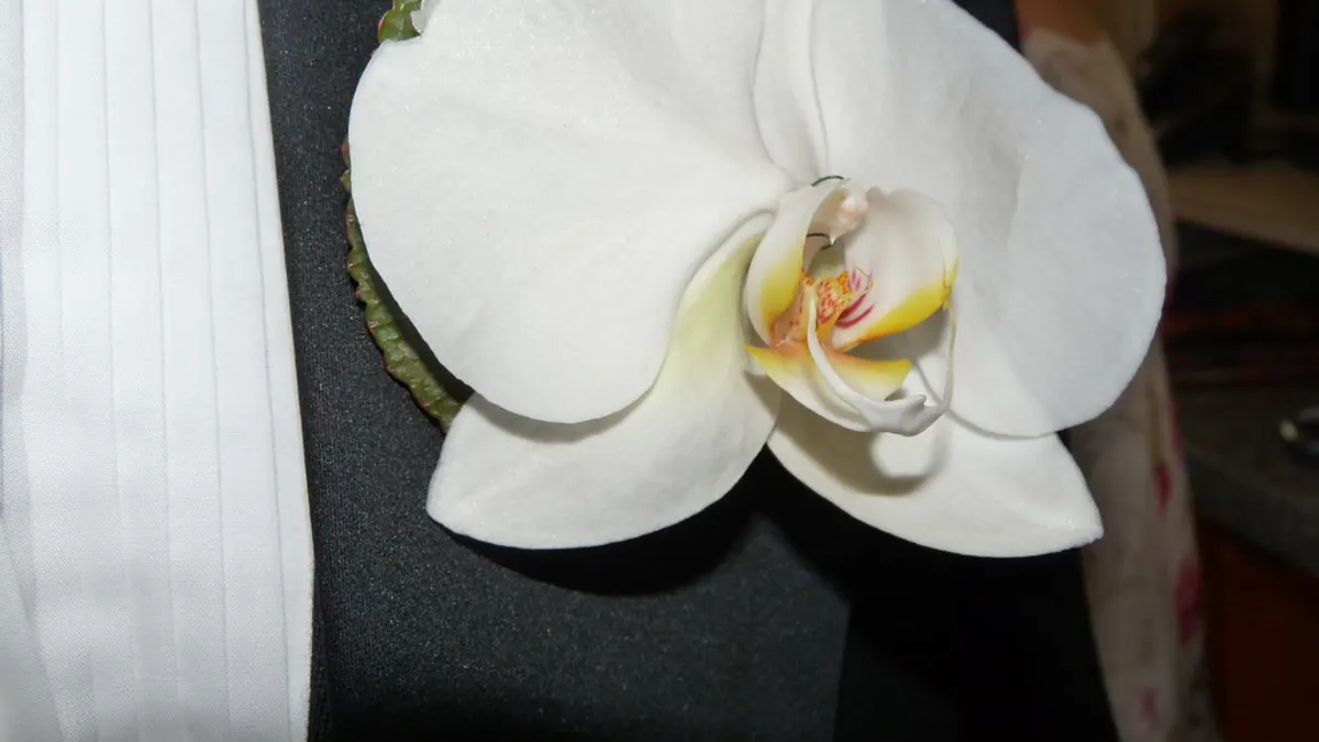 Witte orchidee als corsage op de revers van een zwart colbert, naast een geplooid wit hemd