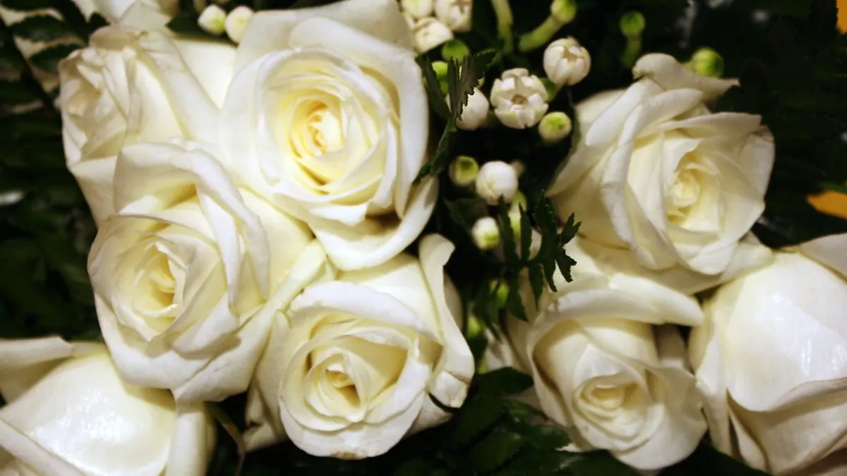 Een boeket witte rozen met kleine witte knopjes en groen blad
