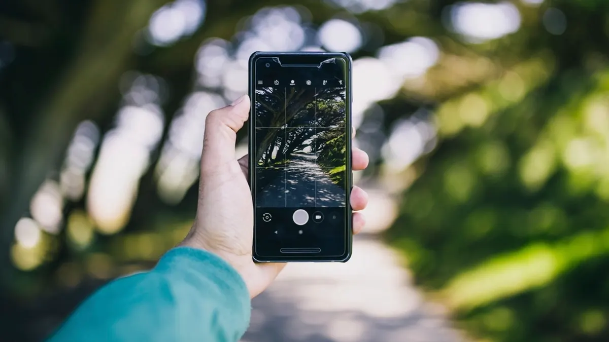 Een hand houdt een smartphone omhoog en maakt een foto van een groene bomenlaan