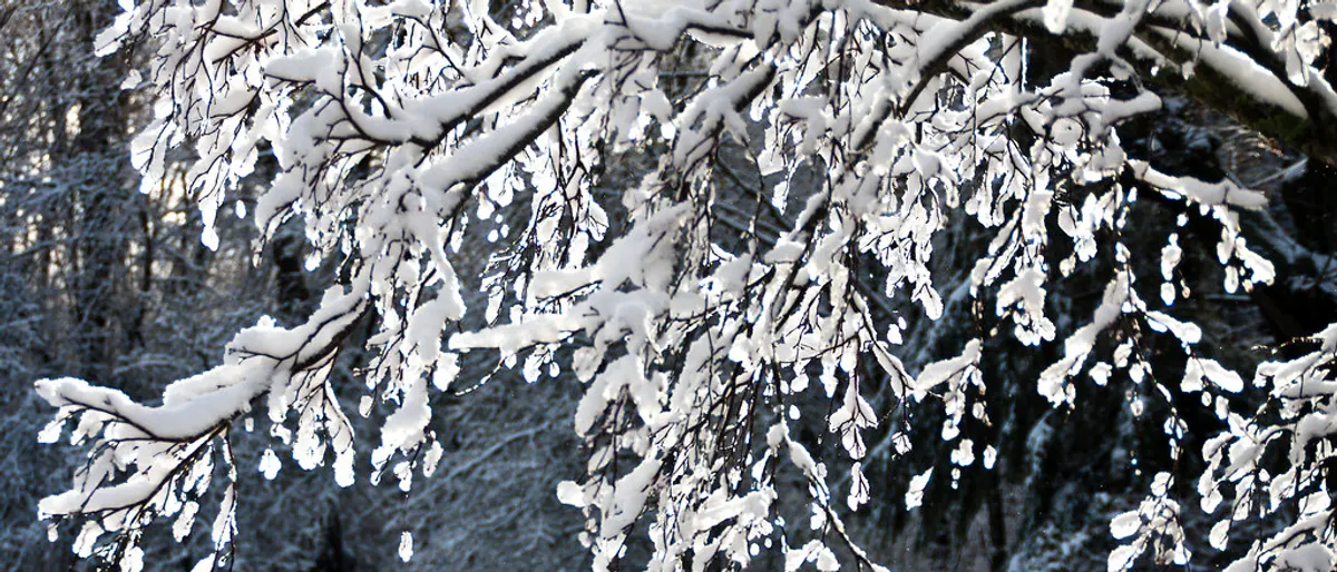 Save the date winter: wanneer versturen en wat zet je erop?