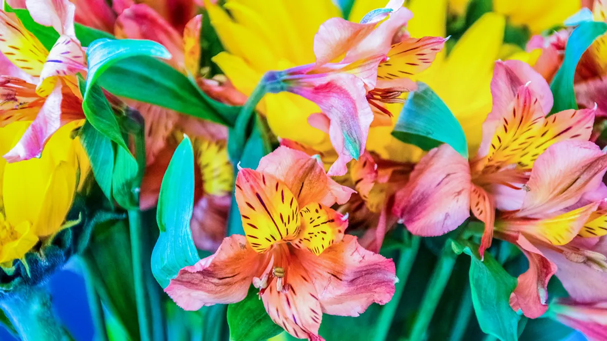 Een zelfgemaakt boeket van houten sola bloemen in zachte tinten op een werktafel