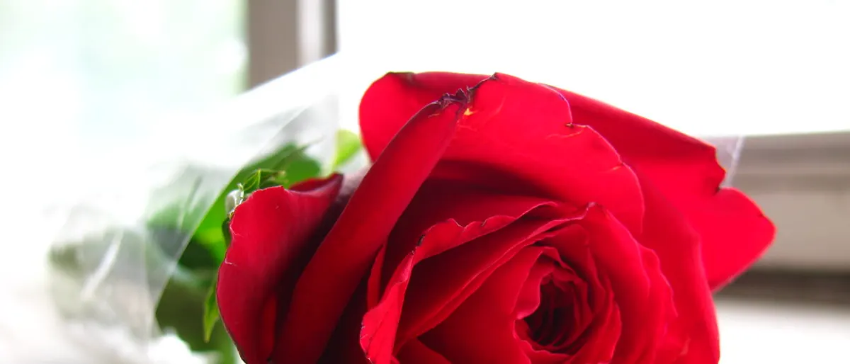 Trouwen op Valentijnsdag 2027: kan dat op een zondag?