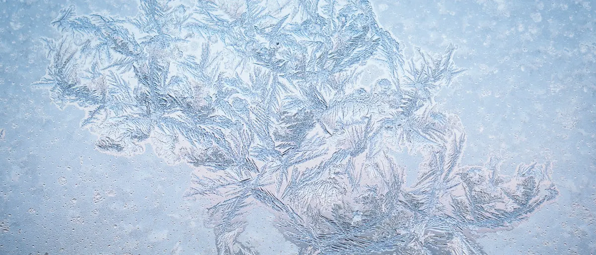 Trouwjurk winter: welke stof, mouwen en warme laag kies je?