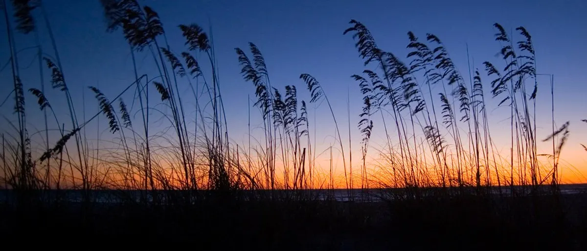 Trouwlocatie Zeeland: aan zee, op een dijk of in een vestingstad