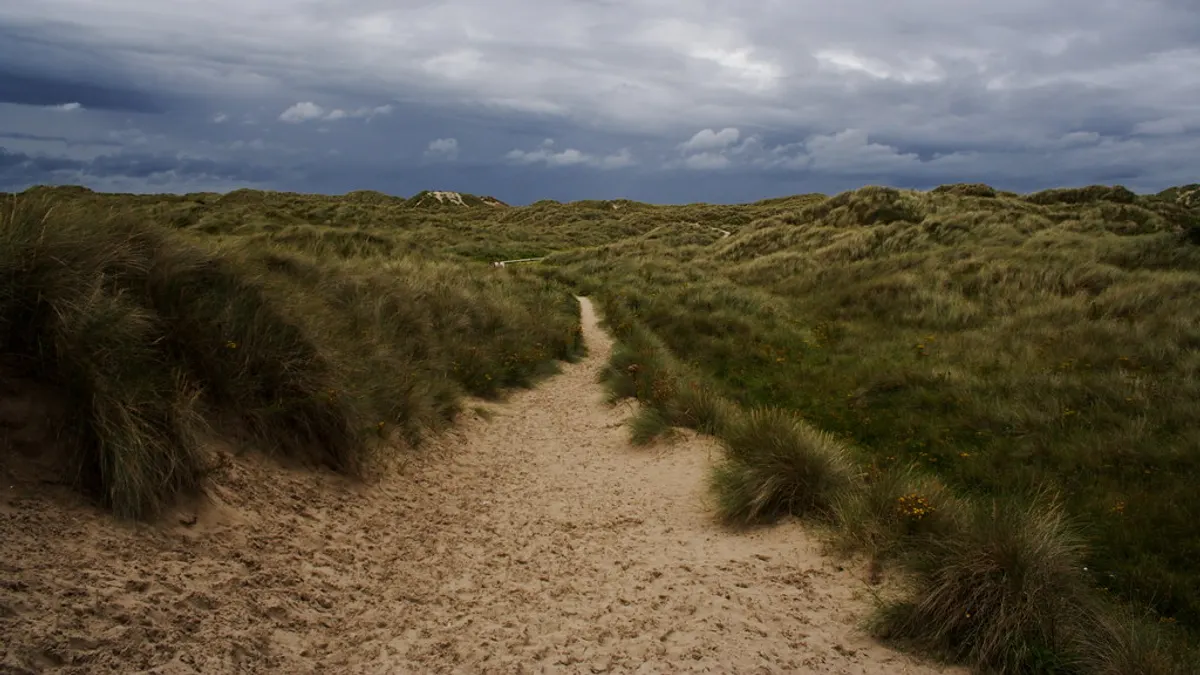 Zandpad door de duinen met helmgras aan weerszijden onder een bewolkte lucht