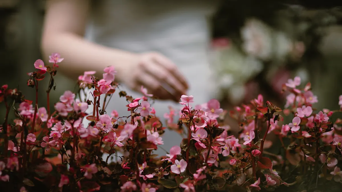 Bruid in een witte jurk strijkt met haar hand langs roze bloeiende planten in een kas