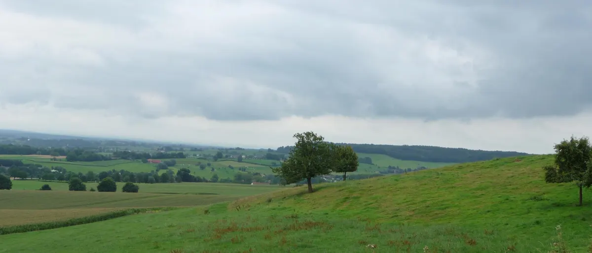 Trouwlocatie Zuid-Limburg: hoeves, kastelen en wijngaarden