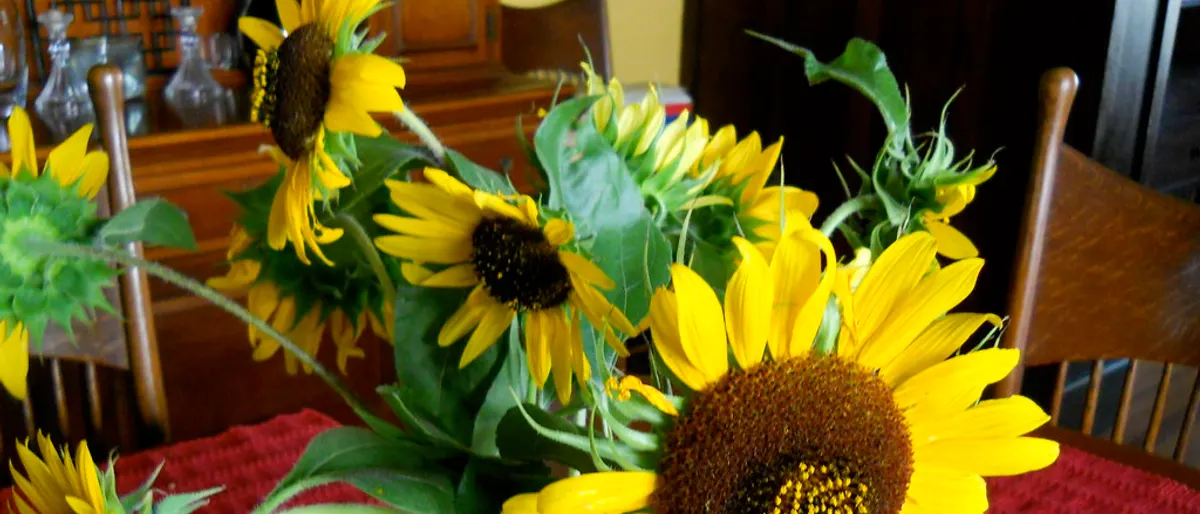 Zomerbruiloft thema: kleuren en decoratie die hitte aankunnen
